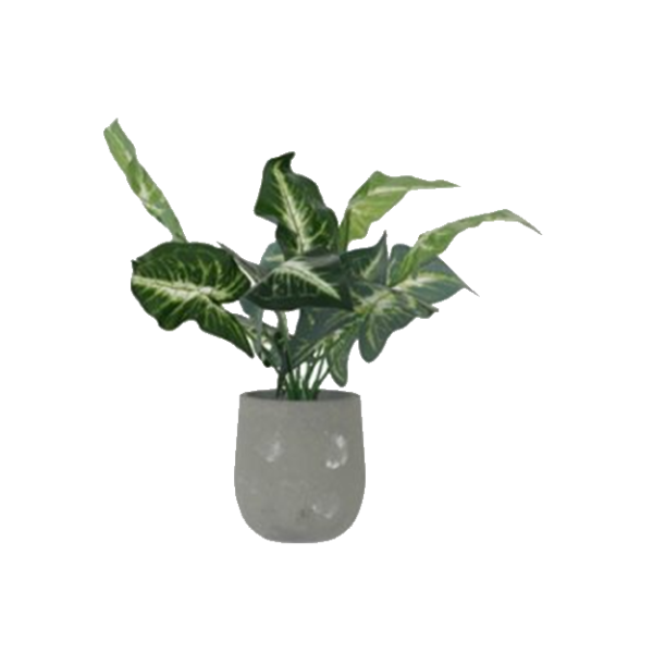 EVERGREEN POTTED PLANT 42CM.png