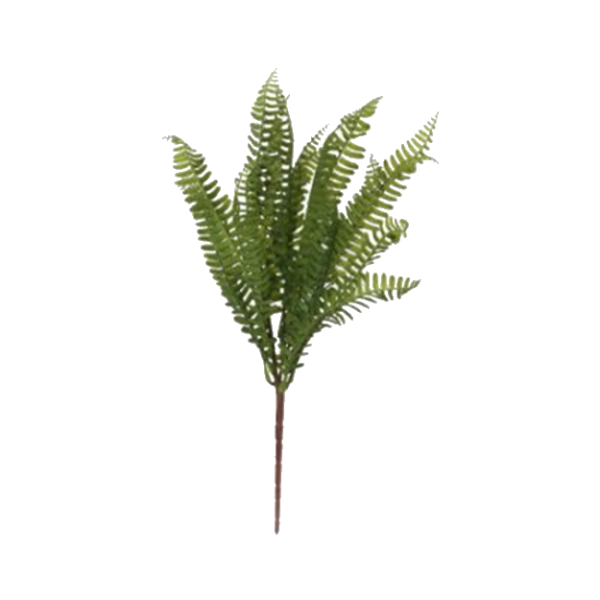 FERN BUNCH 47CM.png