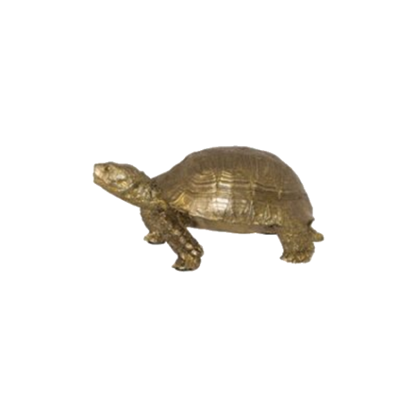 GOLD TORTOISE 18X8.5CM.png