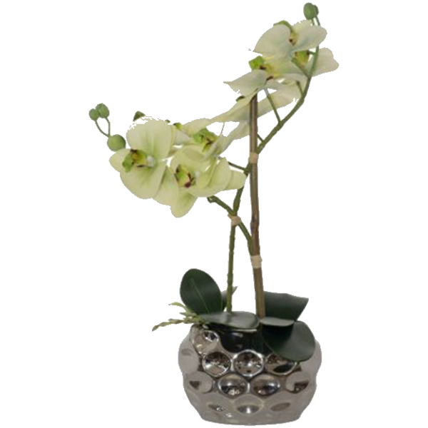 GREEN ORCHID SILVER POT 33CM.png