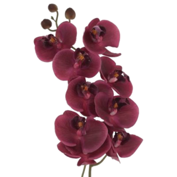 MAGENTA ORCHID SPRAY 48CM.png
