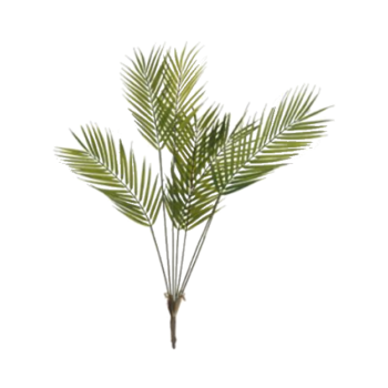 PALM BUNCH 80CM.png