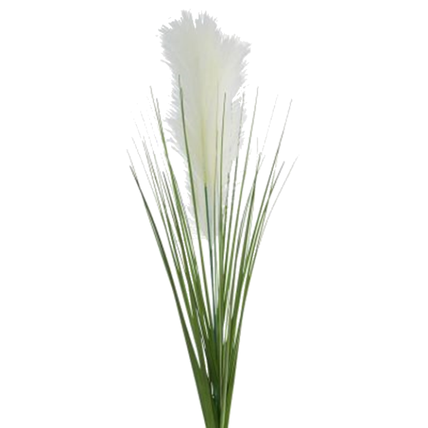 PAMPAS STEM 90CM CREAM.png