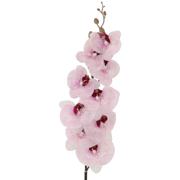 PINK FLECK REAL TOUCH ORCHID 104C.png