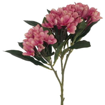 PINK FRANGIPANI 82CM.png