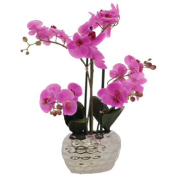 PINK ORCHID IN POT 58CM.png