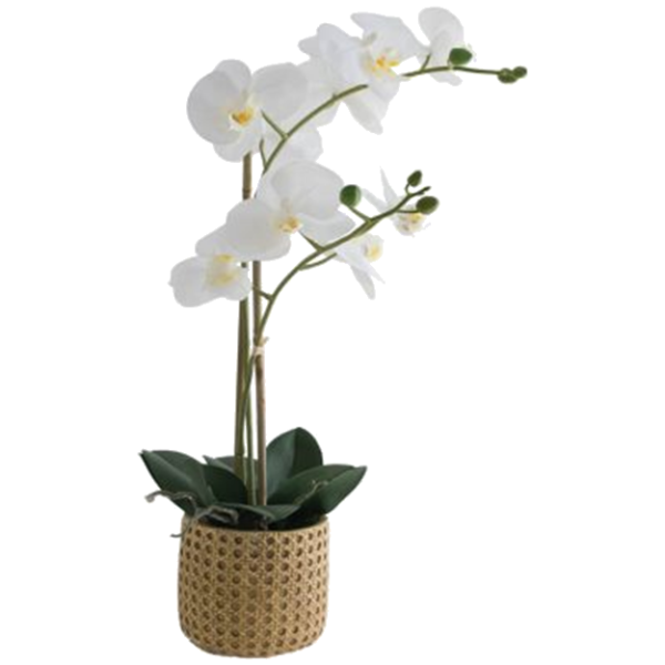 REAL TOUCH PHALAENOPSIS IN POT 64.png