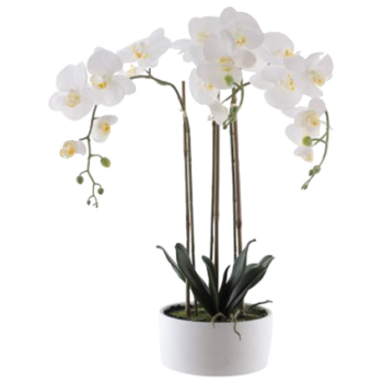 REAL TOUCH WHITE ORCHID IN POT 60CM.png
