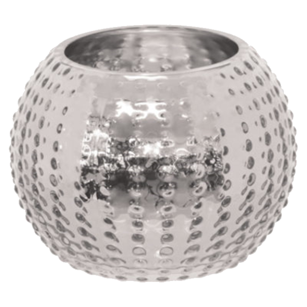 SEA URCHIN SILVER BALL VASE 11X15.png