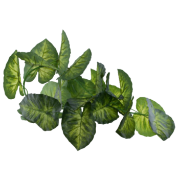 TARO LEAF SPRAY 150CM.png