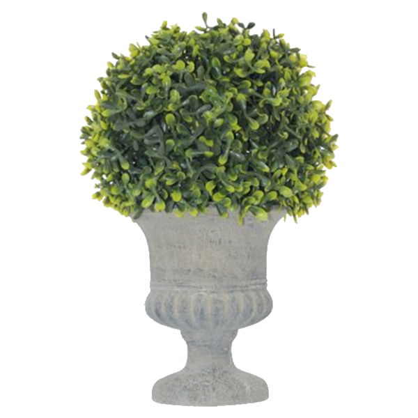 TEA GRASS BALL IN POT 32CM.png