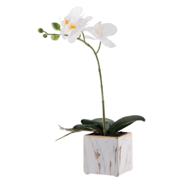 WHITE ORCHID IN MARBLE POT 33CM.png