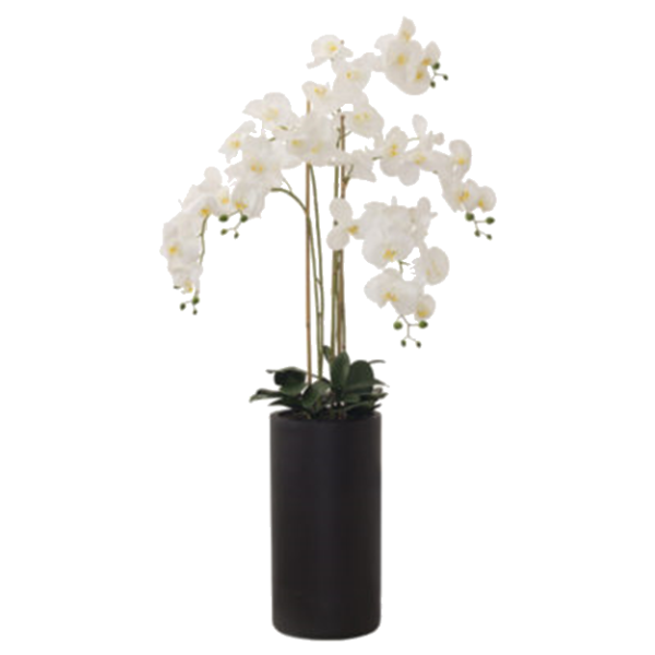 WHITE REAL TOUCH ORCHID 135CM.png