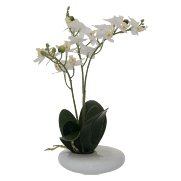 WHITE REAL TOUCH ORCHID 30CM.png