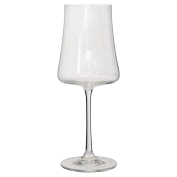 XTRA WINE 360ML.png